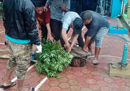 mitassalamambon.sch.id (2)